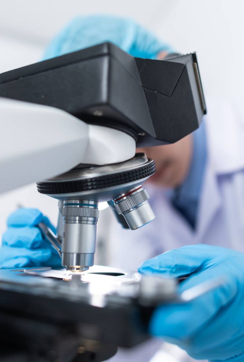 Evidence Generation 