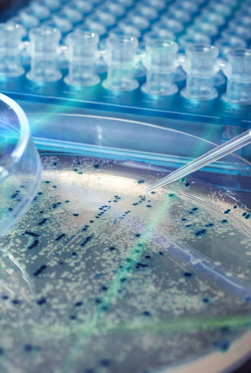 Made to Cure for BioPharma 