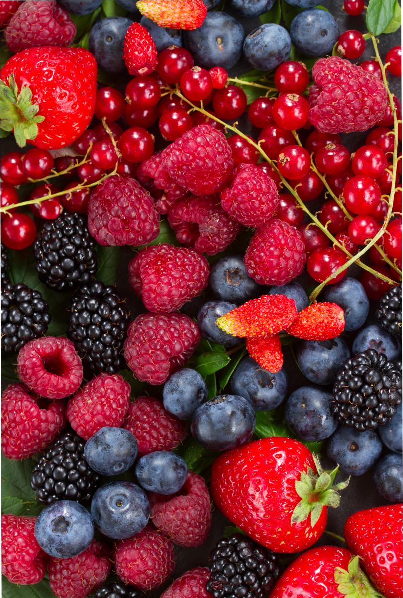 Food & Beverage 